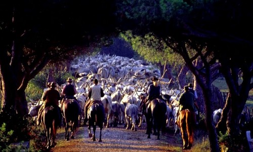 Terre Regionali Toscane -  ()
