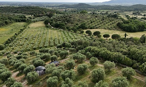 Agricampeggio Cosmo Camp - Grosseto (Grosseto)